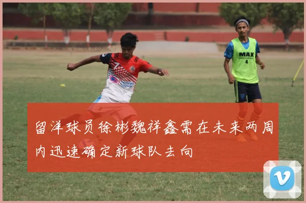 留洋球员徐彬魏祥鑫需在未来两周内迅速确定新球队去向